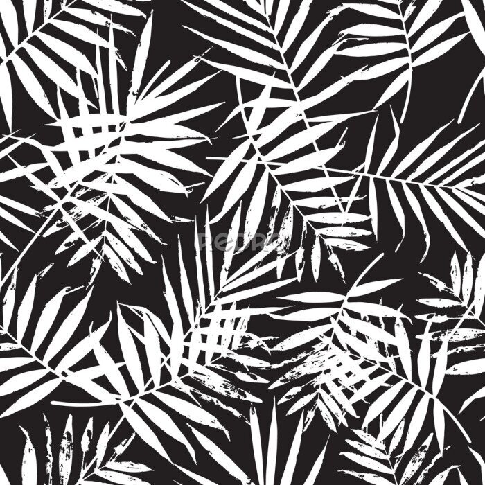 Bild Schwarz-weißes Muster von Palmenblättern