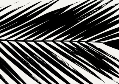  Schwarz-weißes Palmenblatt