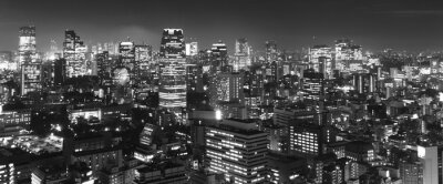 Schwarz-weißes Panorama von Tokio