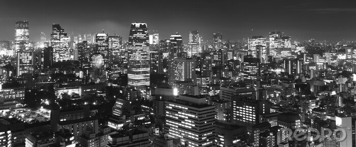 Bild Schwarz-weißes Panorama von Tokio