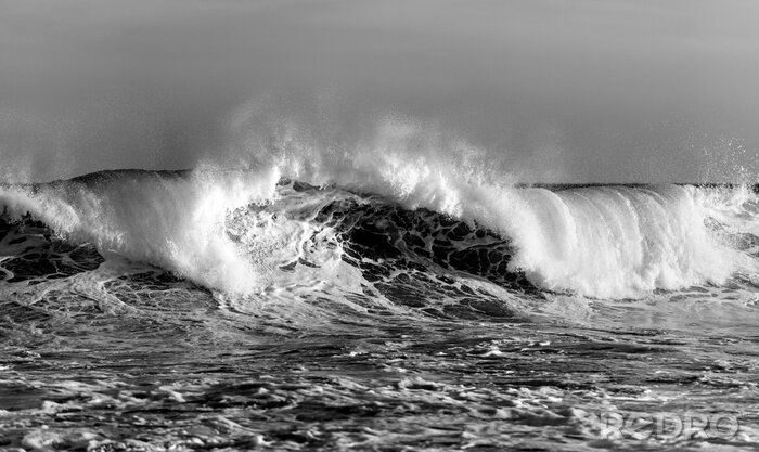 Bild Schwarz-weißes stürmisches Meer