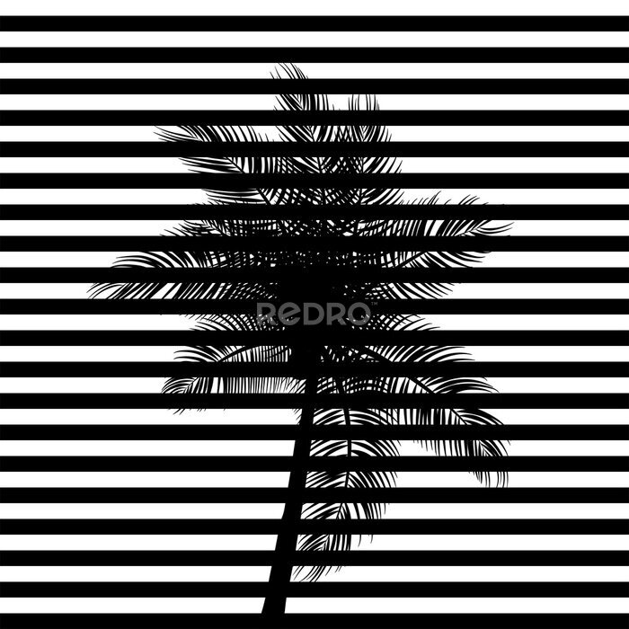 Bild Schwarze Streifen und eine Palme