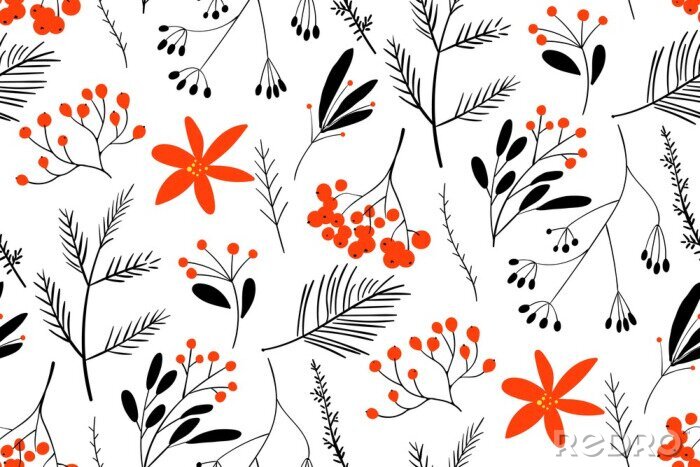 Bild Schwarze und rote Winterbeeren