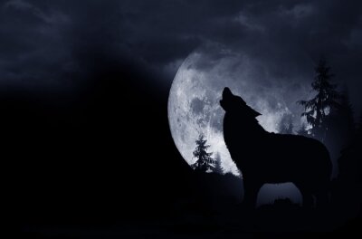 Bild Schwarzer Wolf und Mond