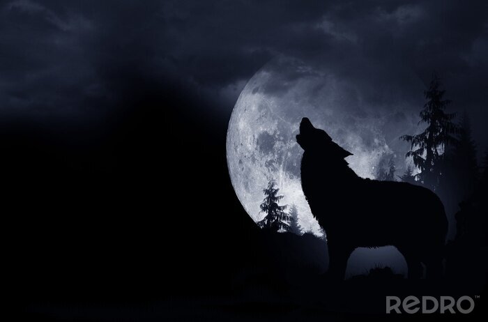 Bild Schwarzer Wolf und Mond