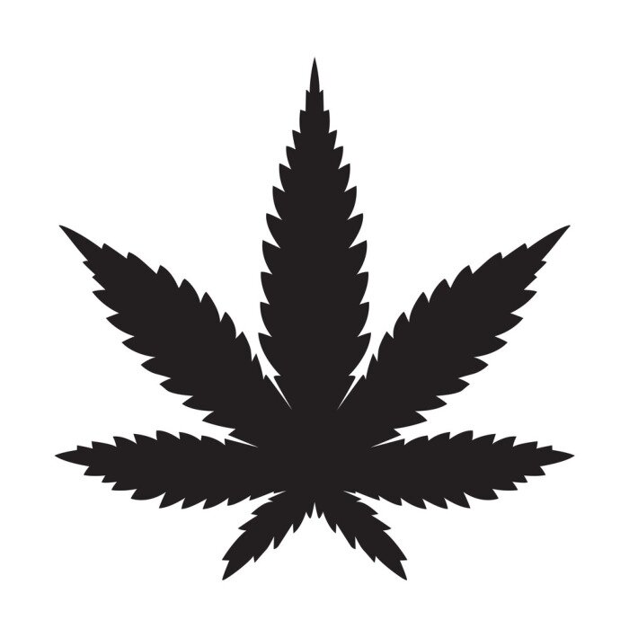 Bild Schwarzes Marihuana-Blatt auf weißem Hintergrund