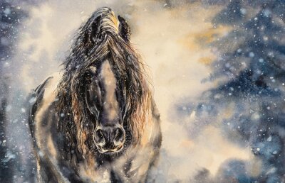 Bild Schwarzes Pferd an einem Wintertag