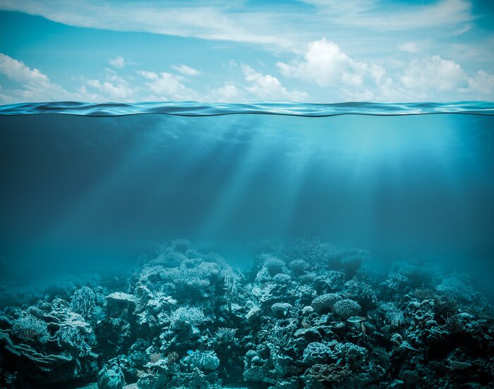 Bild Sea or ocean underwater deep nature background
