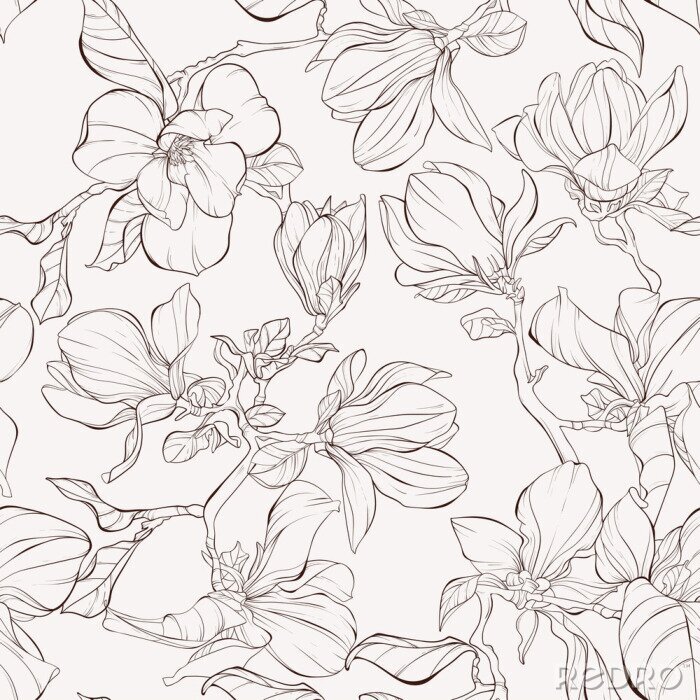 Bild Seamless pattern, background with blooming magnolia flowers. Outline drawing.