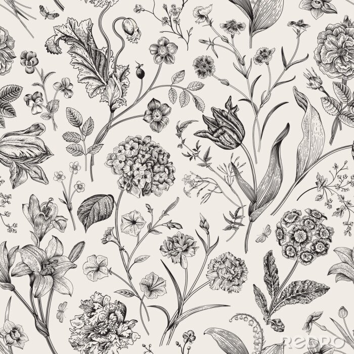 Bild Seamless vector vintage floral pattern. Classic illustration. Black and white..
