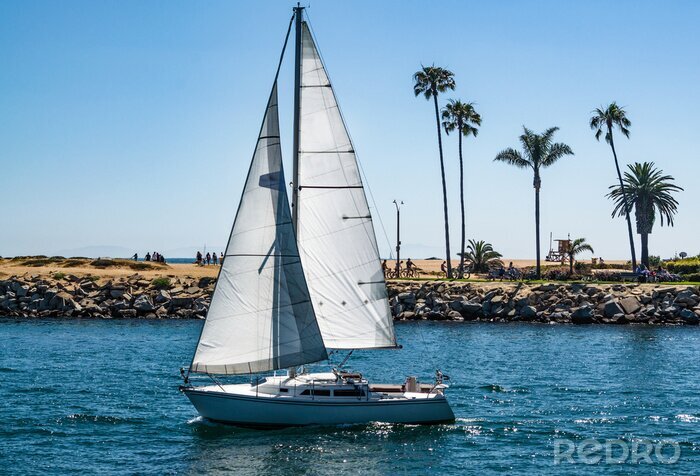 Bild Segelboot mit Palmen im Hintergrund