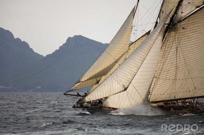 Bild Segelschiffrennen auf See