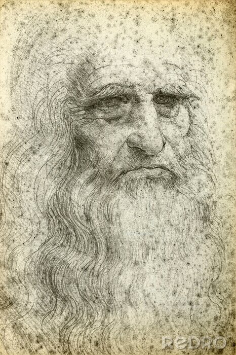 Bild Selbstbildnis von Leonardo da Vinci