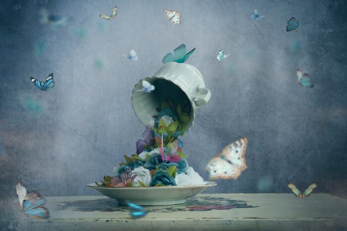 Bild Shabby-Chic Schmetterlinge