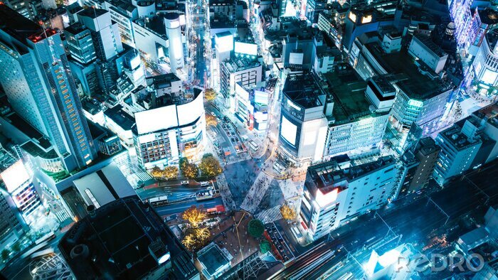 Bild Shibuya bei Nacht