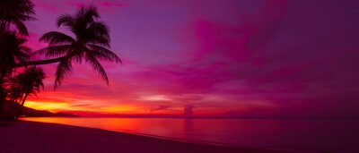 Bild Silhouette der Palme vor untergehender Sonne