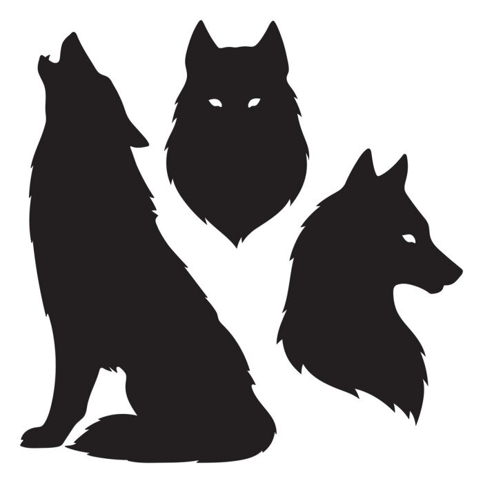 Bild Silhouette eines Wolfs und Kopf eines Wolfs schwarz
