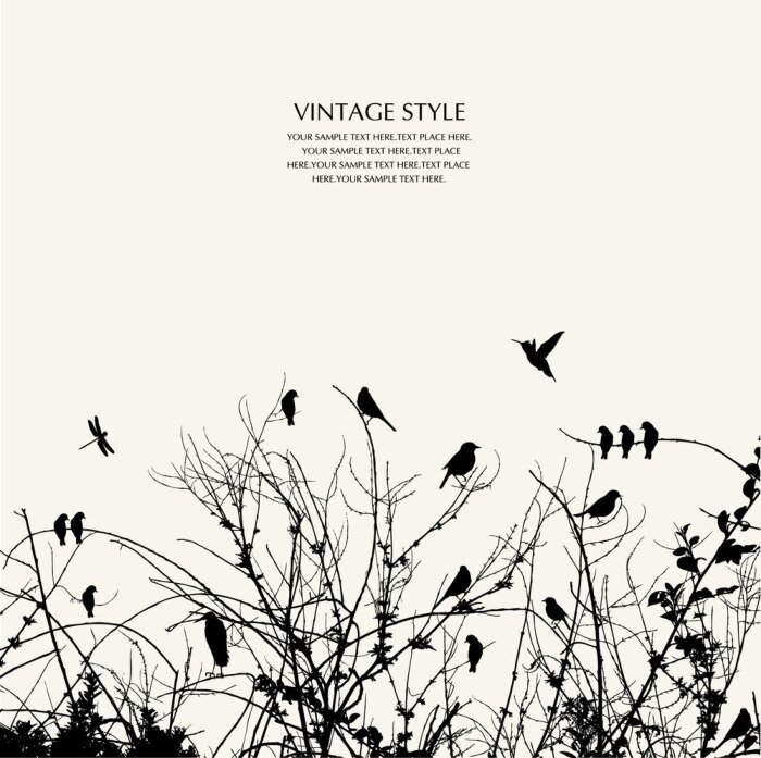 Bild Silhouetten von Sträuchern und Vögeln auf weißem Hintergrund