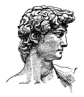 Bild Skizze des Kopfes von David Michelangelo