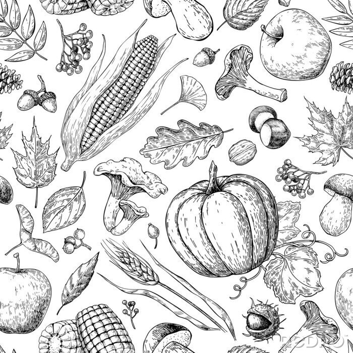 Bild Skizziertes Schwarz-Weiß-Gemüse