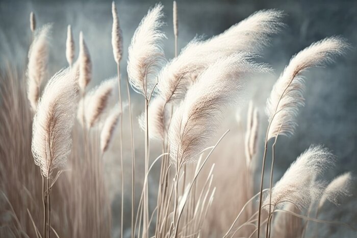 Bild soft vegetation on an abstracted natural background Selloan cortaderia Pampas grass with a boho style background of dry reeds. wintertime fluffy long grass stems. Generative AI