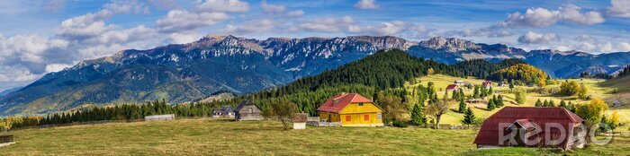 Bild Sommer auf dem Land in Rumänien