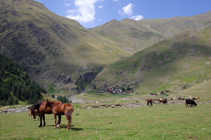 Bild Sommer im georgischen Dorf