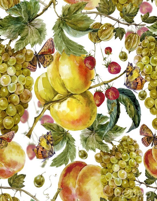 Bild Sommerliche Obsternte