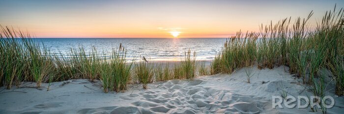 Bild Sonnenaufgang Ostsee und Dünen