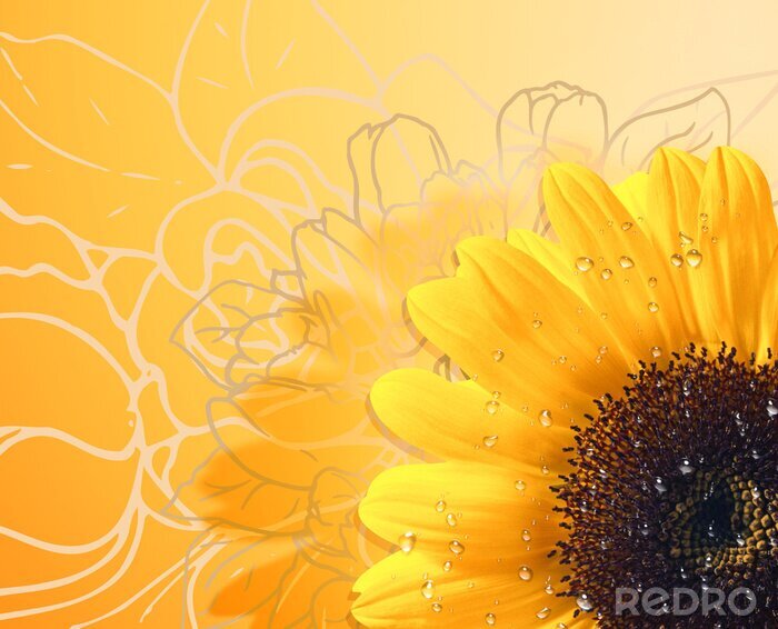 Bild Sonnenblume auf grafischem Motiv