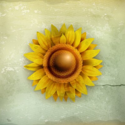 Bild Sonnenblume im gealterten Stil