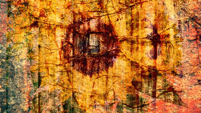 Bild Sonnenblumen auf abstraktem Motiv