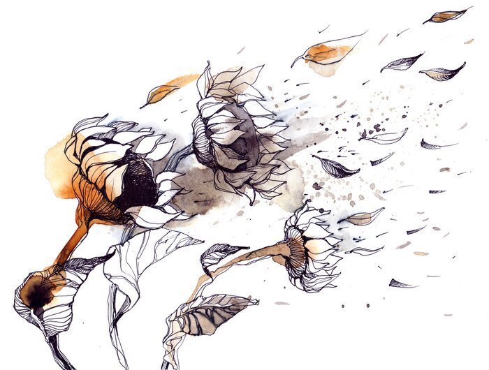 Bild Sonnenblumen im Wind