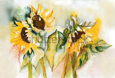 Bild Sonnenblumen in Aquarell