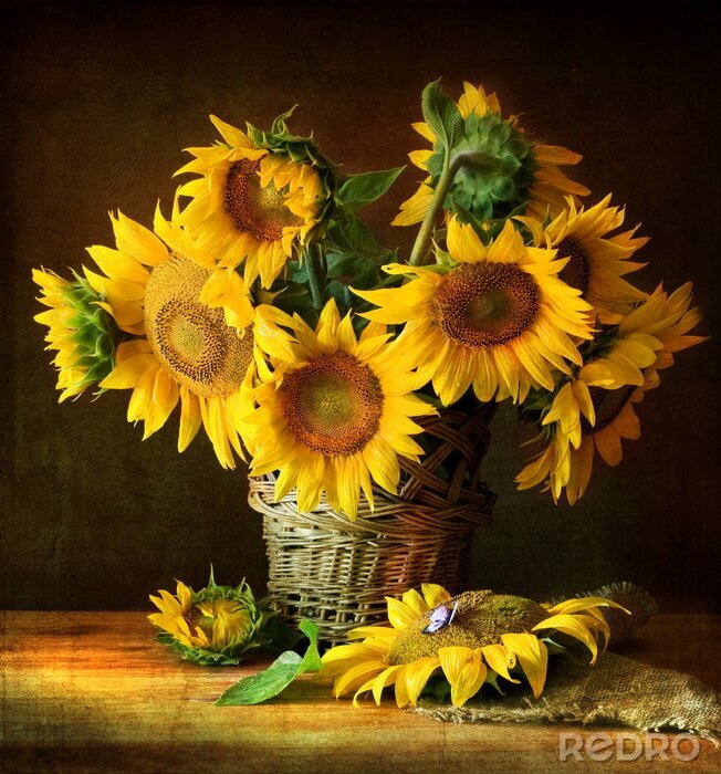 Bild Sonnenblumen Stillleben