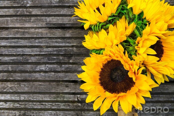 Bild Sonnenblumenarmvoll auf Brettern