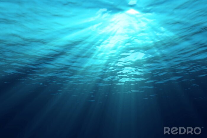 Bild Sonnenlicht unter Wasser