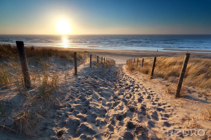 Bild Sonnenschein über den Weg zum Strand in Nordsee