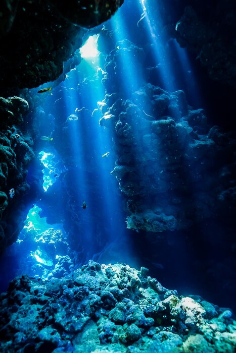 Bild Sonnenstrahlen im Ozean