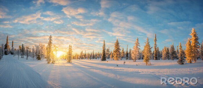 Bild Sonnenuntergang im Winterwald