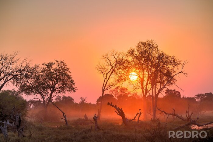 Bild Sonnenuntergang in Afrika