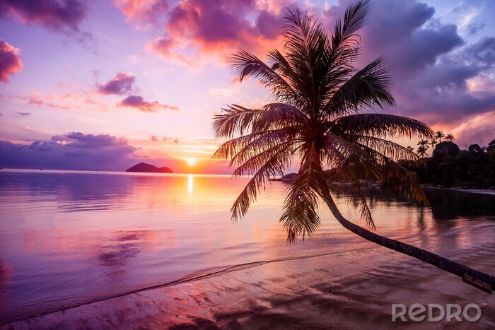 Bild Sonnenuntergang mit Palmen