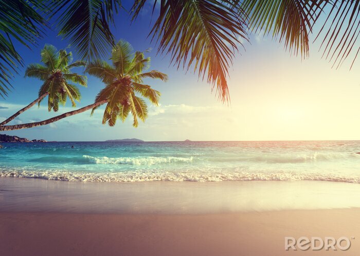 Bild Sonnenuntergang über Tropen