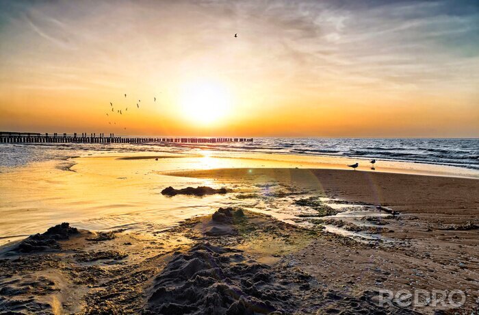 Bild Sonnenuntergang Vögel und Meer