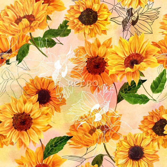Bild Sonnige Blumen auf einem romantischen Hintergrund