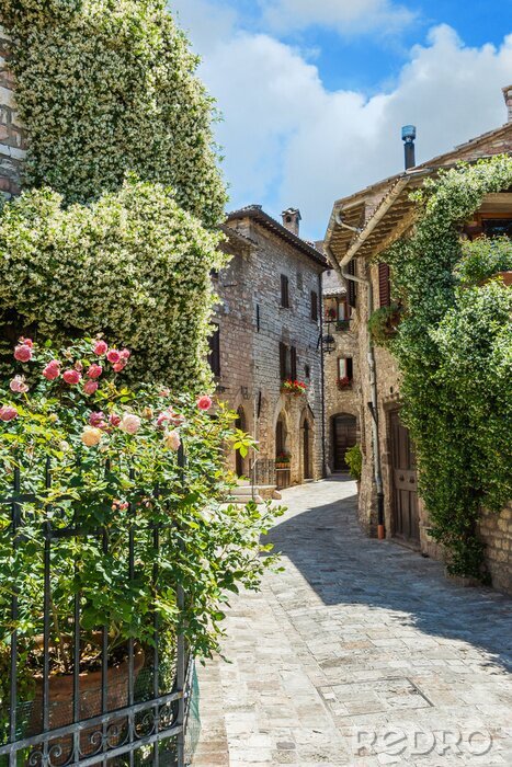 Bild Sonnige Gasse zwischen Gärten