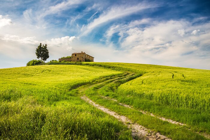 Bild Sonnige Toskana