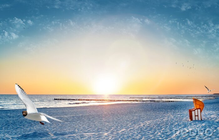 Bild Sonniger Strand und Möwe