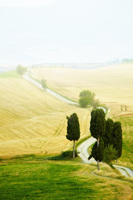 Bild Sonniger Tag in der Toskana