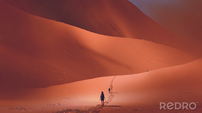Bild Spaziergang durch die Wüste